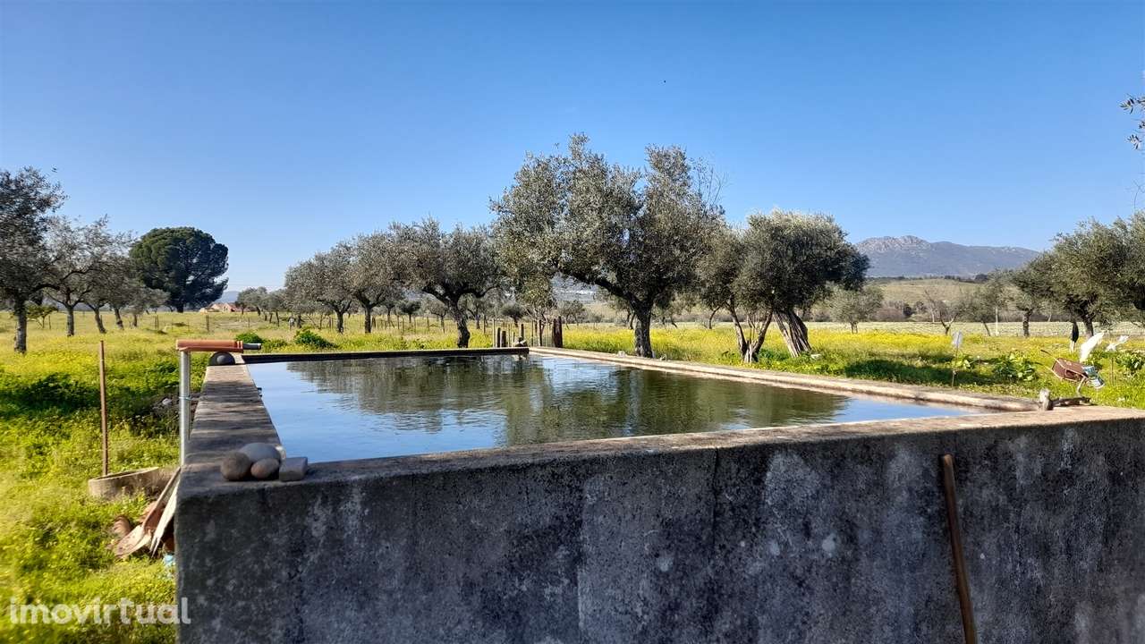 Quinta T0 Venda em Vila Velha de Ródão,Vila Velha de Ródão - Grande imagem: 2/28