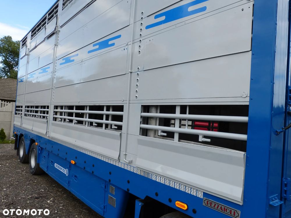 Scania R420 + PRZYCZEPA PEZZAIOLI / ZESTAW DO ŻYWCA, ZWIERZĄT, BYDŁA, TRZODY - 16
