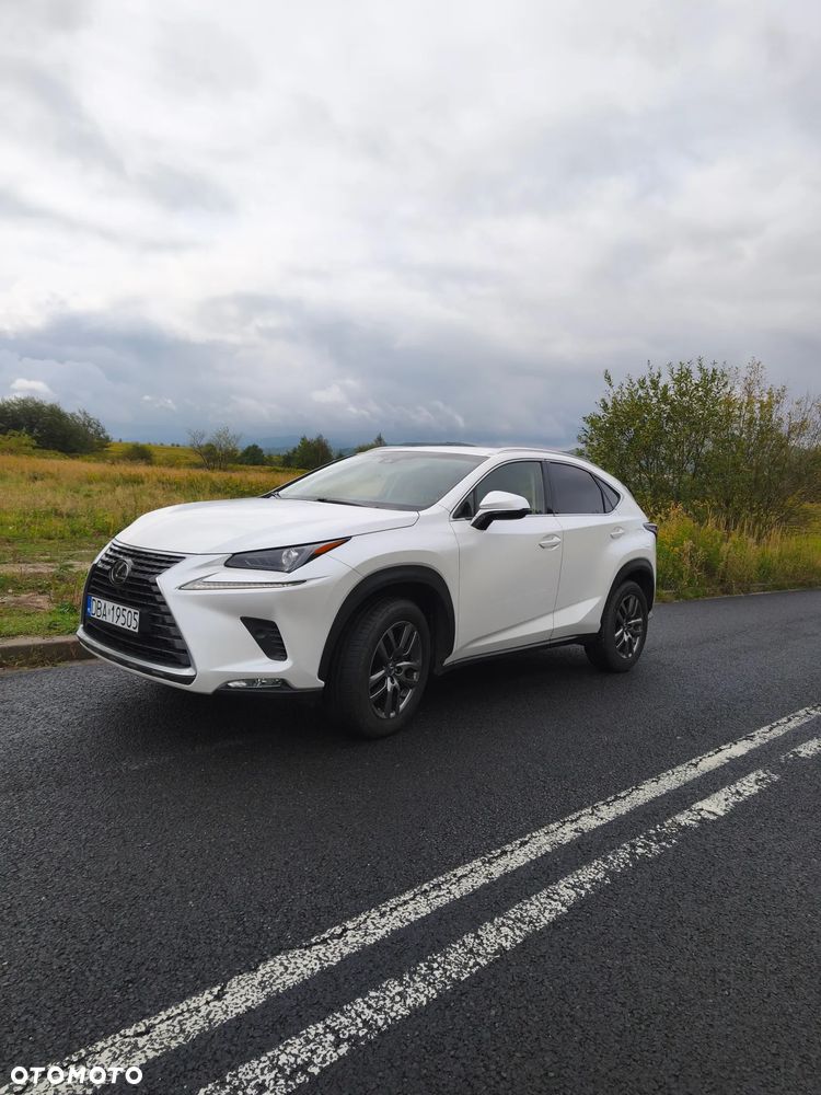 Lexus NX 300 Comfort AWD - 5