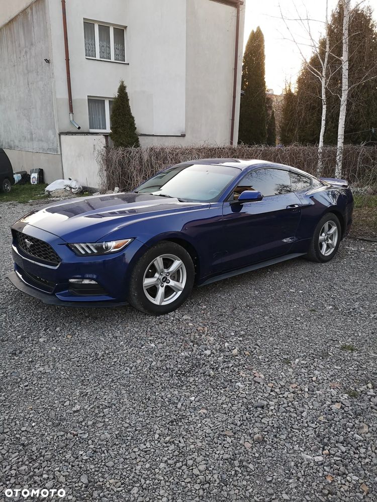Ford Mustang 3.7 V6 - 10