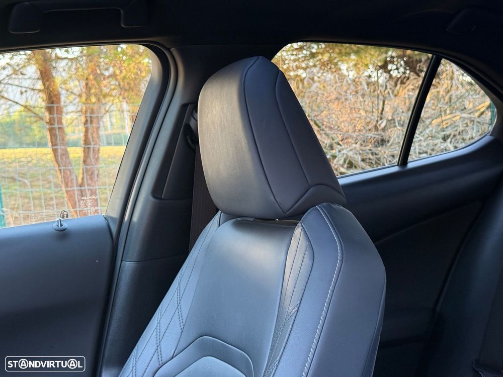 Lexus UX 250h F Sport - 45