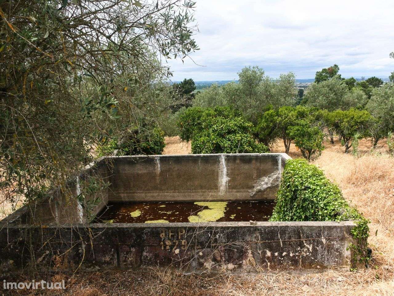 Terreno com Moradia Rústica para Reconstruir - Grande imagem: 4/11