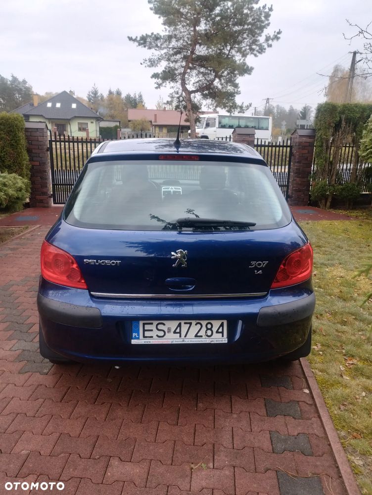 Peugeot 307 - 10