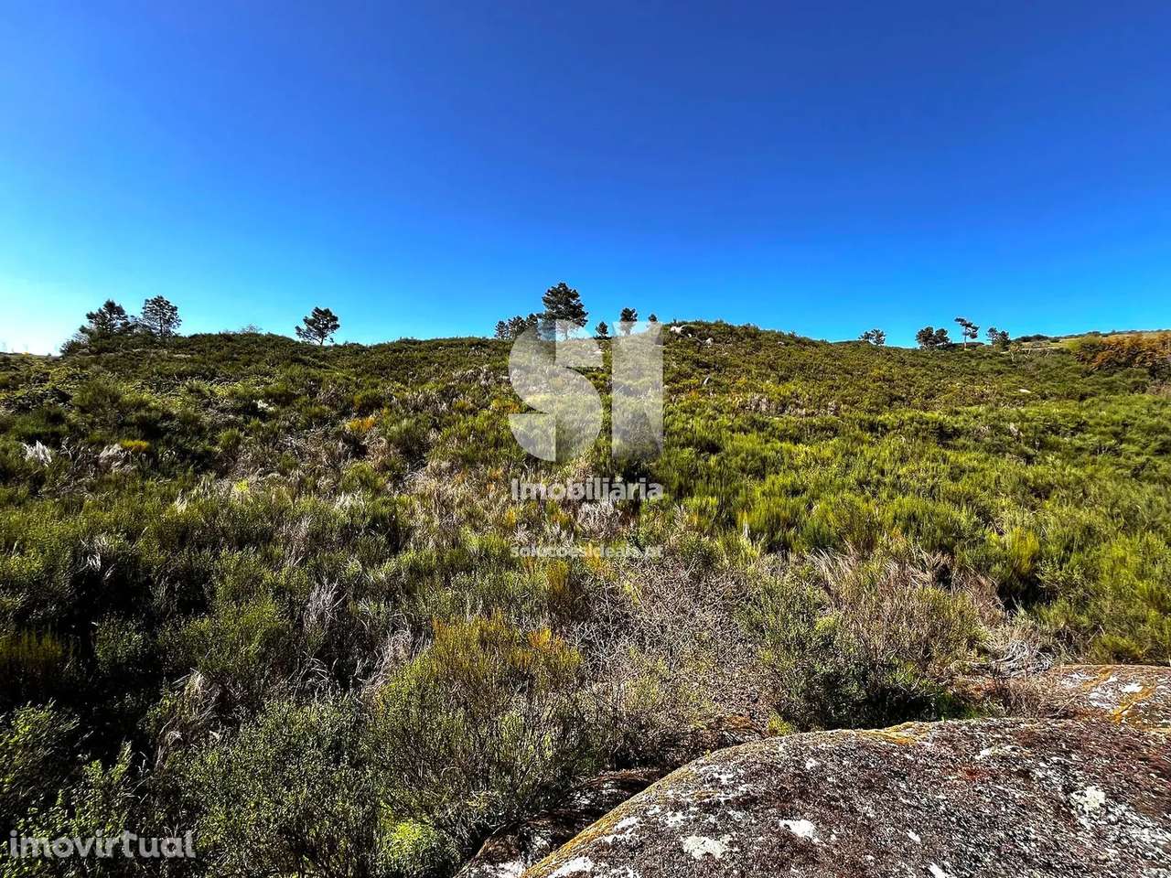 Terreno em Alijó - Grande imagem: 5/15
