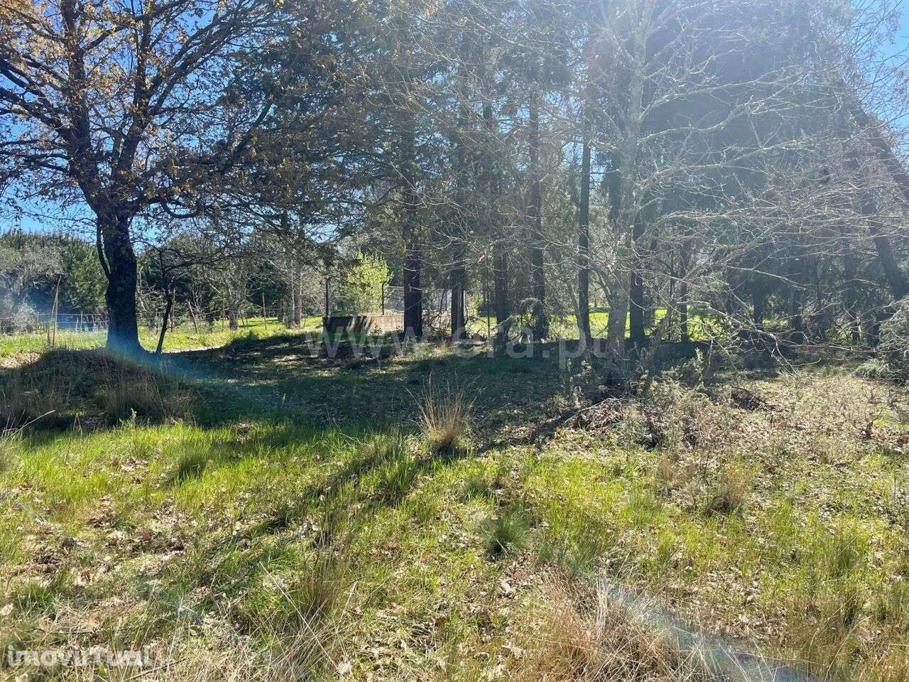 Terreno / Seia, Santiago - Grande imagem: 3/4