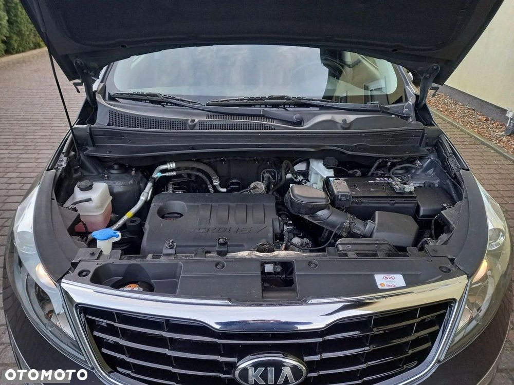 Kia Sportage - 15