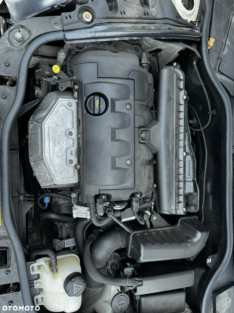 MINI Cooper - 14