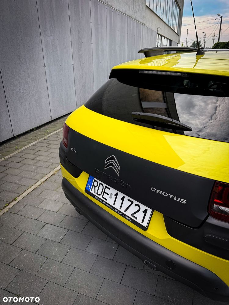 Citroën C4 Cactus 1.2 PureTech Shine EU6 - 6