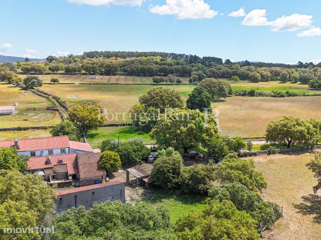 Quinta de 10 ha com projeto aprovado para 2 moradias em Marvão - Grande imagem: 2/60