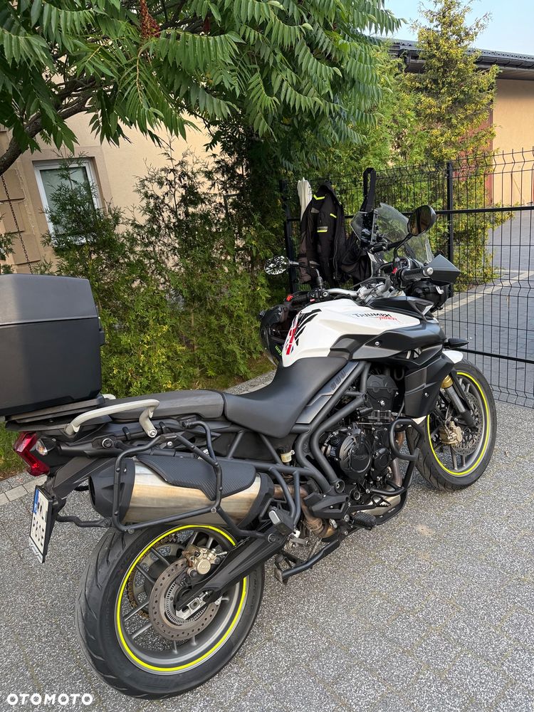 Triumph Tiger - 9