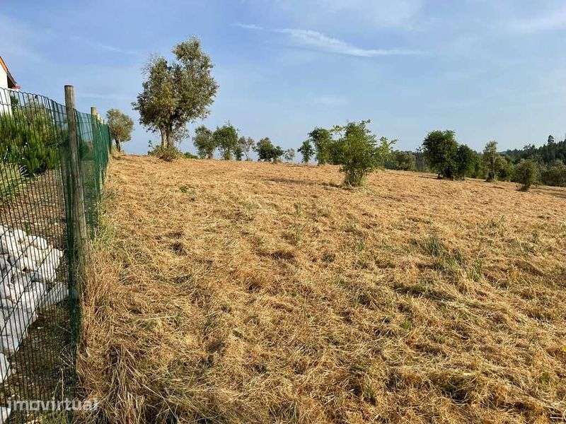 Arrenda-se terreno com 3.8 hectares, muita agua e energia - Grande imagem: 4/5