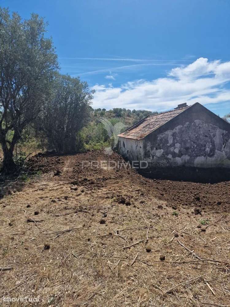 Monte Alentejano em Montargil - Grande imagem: 3/14