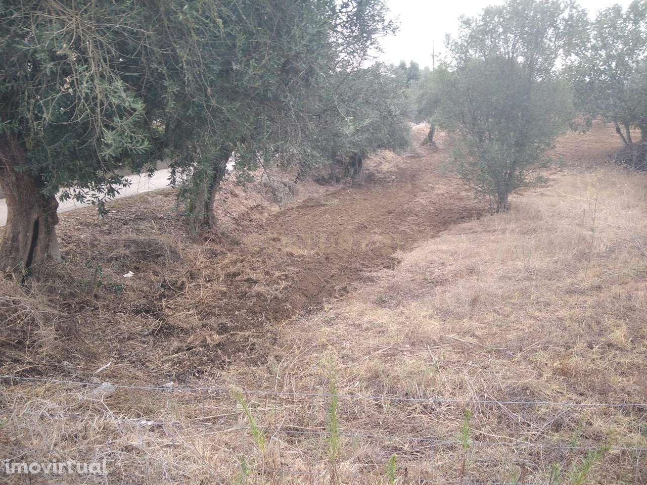 Terreno Urbano e rustico c/ 2840 m2 | Horta dos Corvos | Valhascos - Grande imagem: 4/10