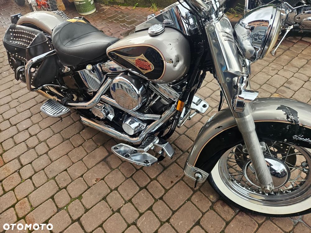 Harley-Davidson Softail - 37