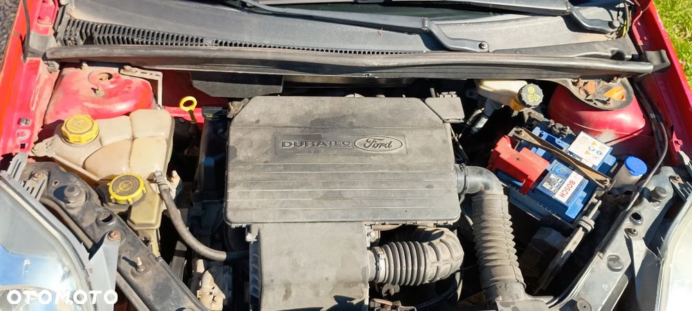Ford Fiesta 1.3 - 19