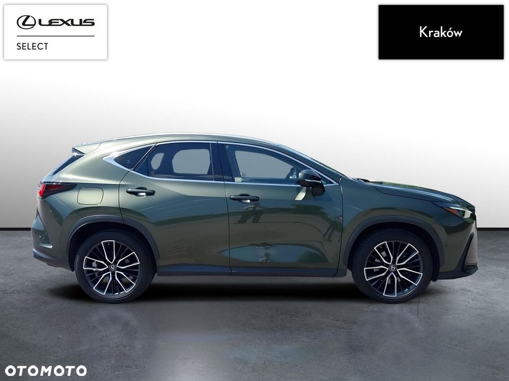 Lexus NX - 6