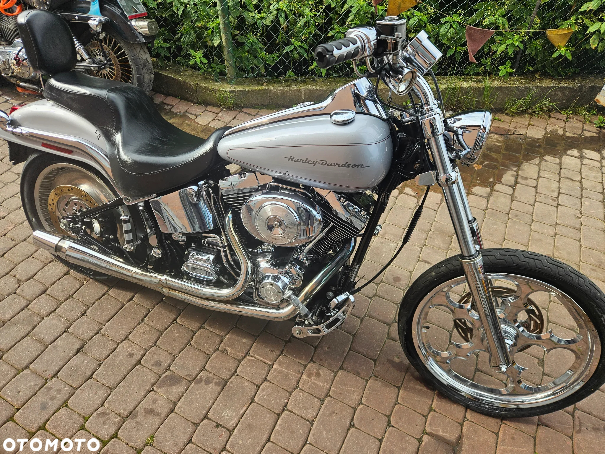 Harley-Davidson Softail Standard - 2