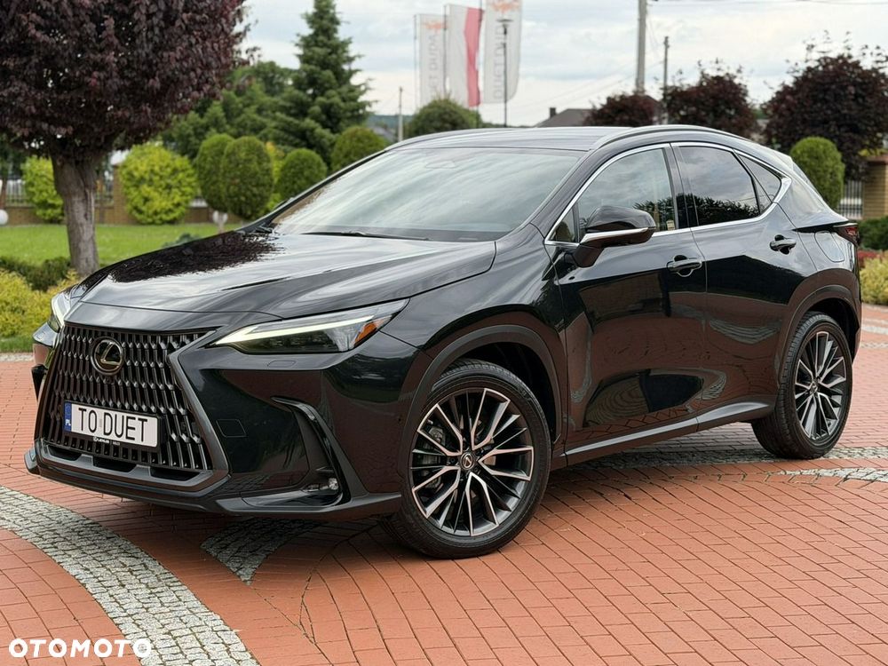Lexus NX - 6