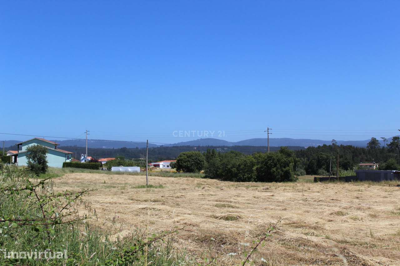 Terreno Almagreira - Pombal - Grande imagem: 3/11