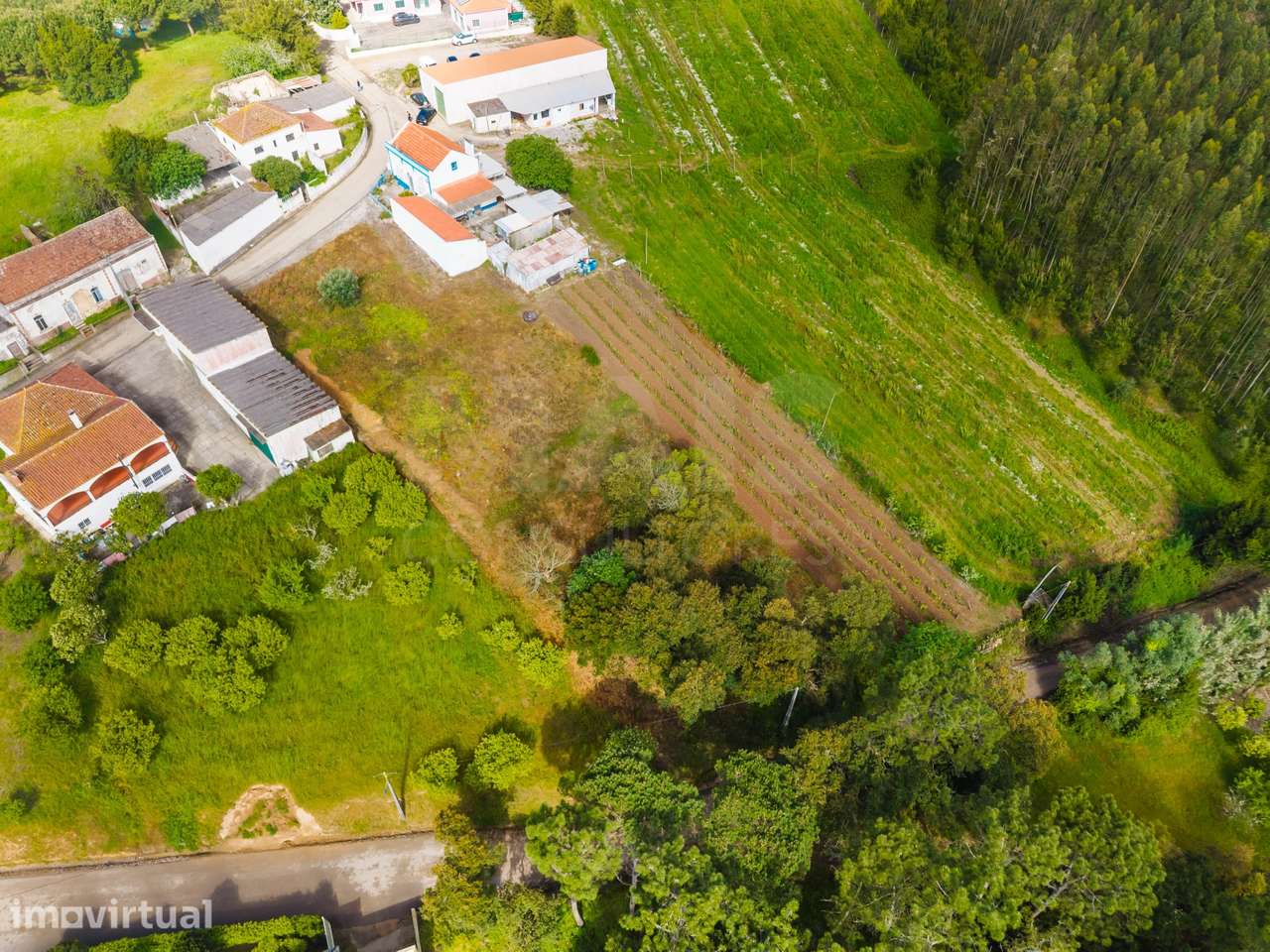 Terreno 2120m2 para construção | Azambujeira dos Carros | Bombarral - Grande imagem: 3/8
