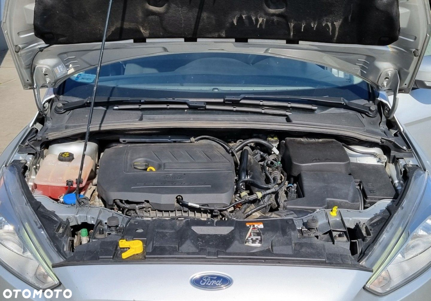 Ford Focus - 34