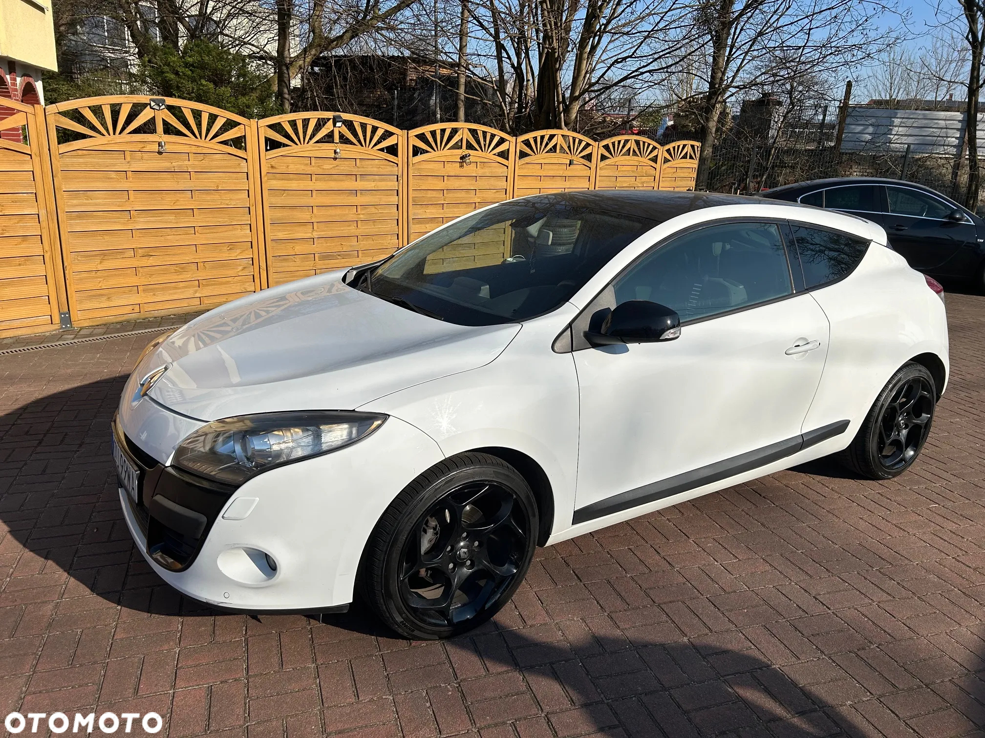 Renault Megane 1.9 dCi Monaco - 21