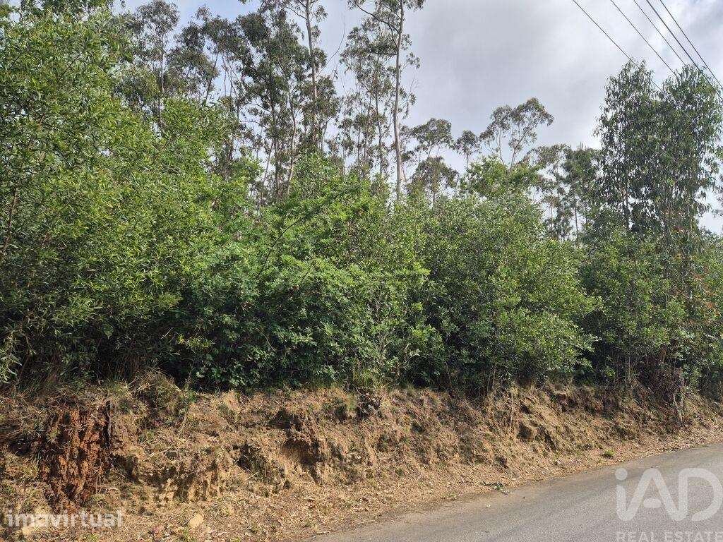 Terreno em Lobão, Gião, Louredo e Guisande - Grande imagem: 5/16