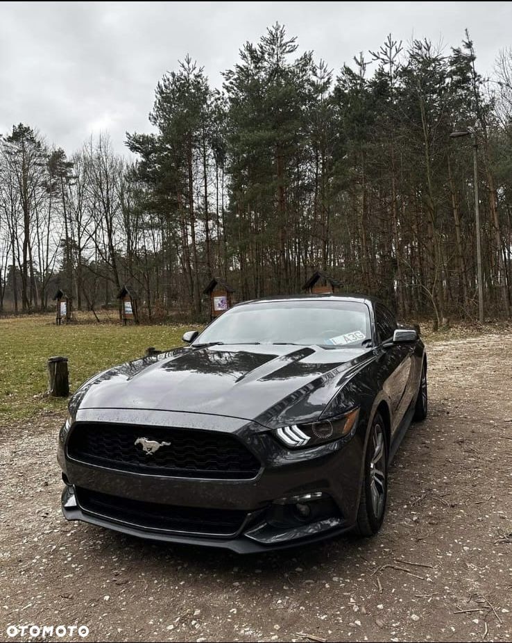 Ford Mustang 2.3 EcoBoost - 7