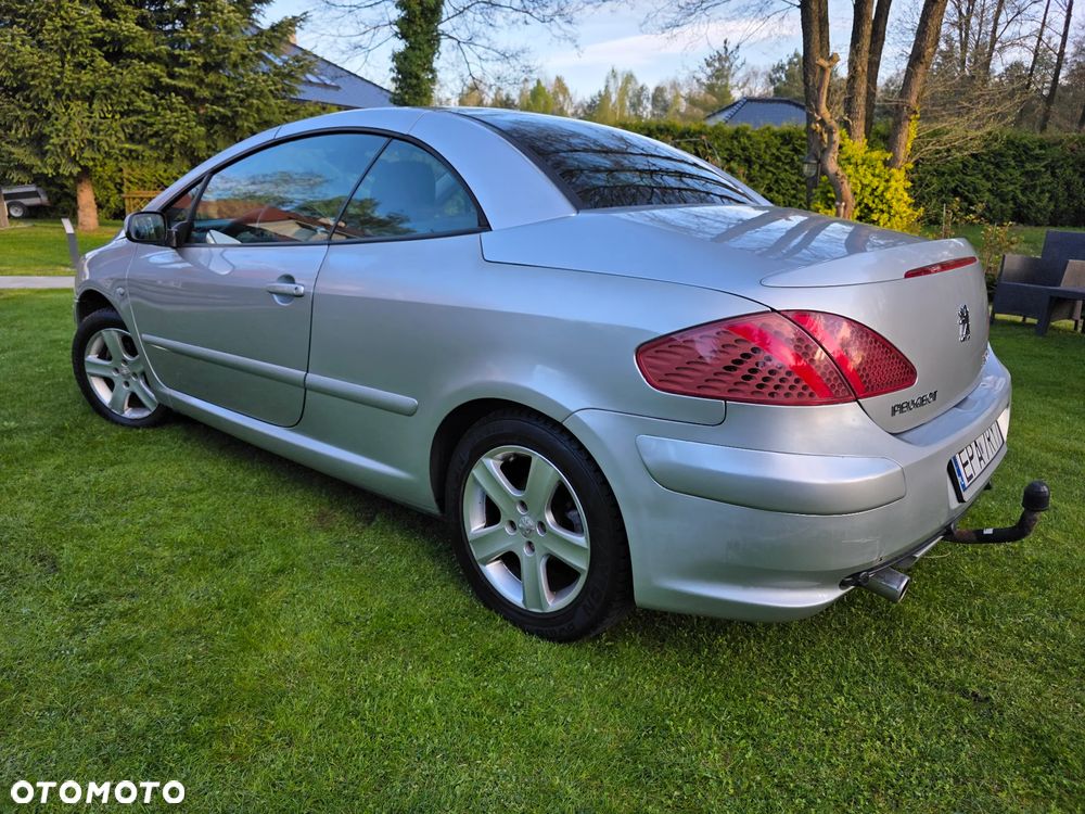Peugeot 307 2.0 XS Class - 18