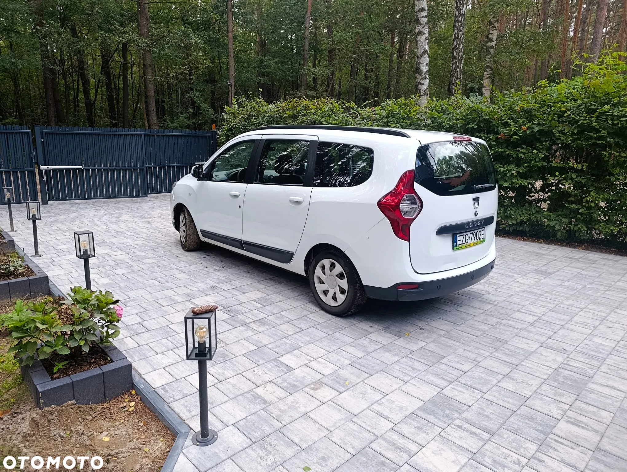 Dacia Lodgy - 7