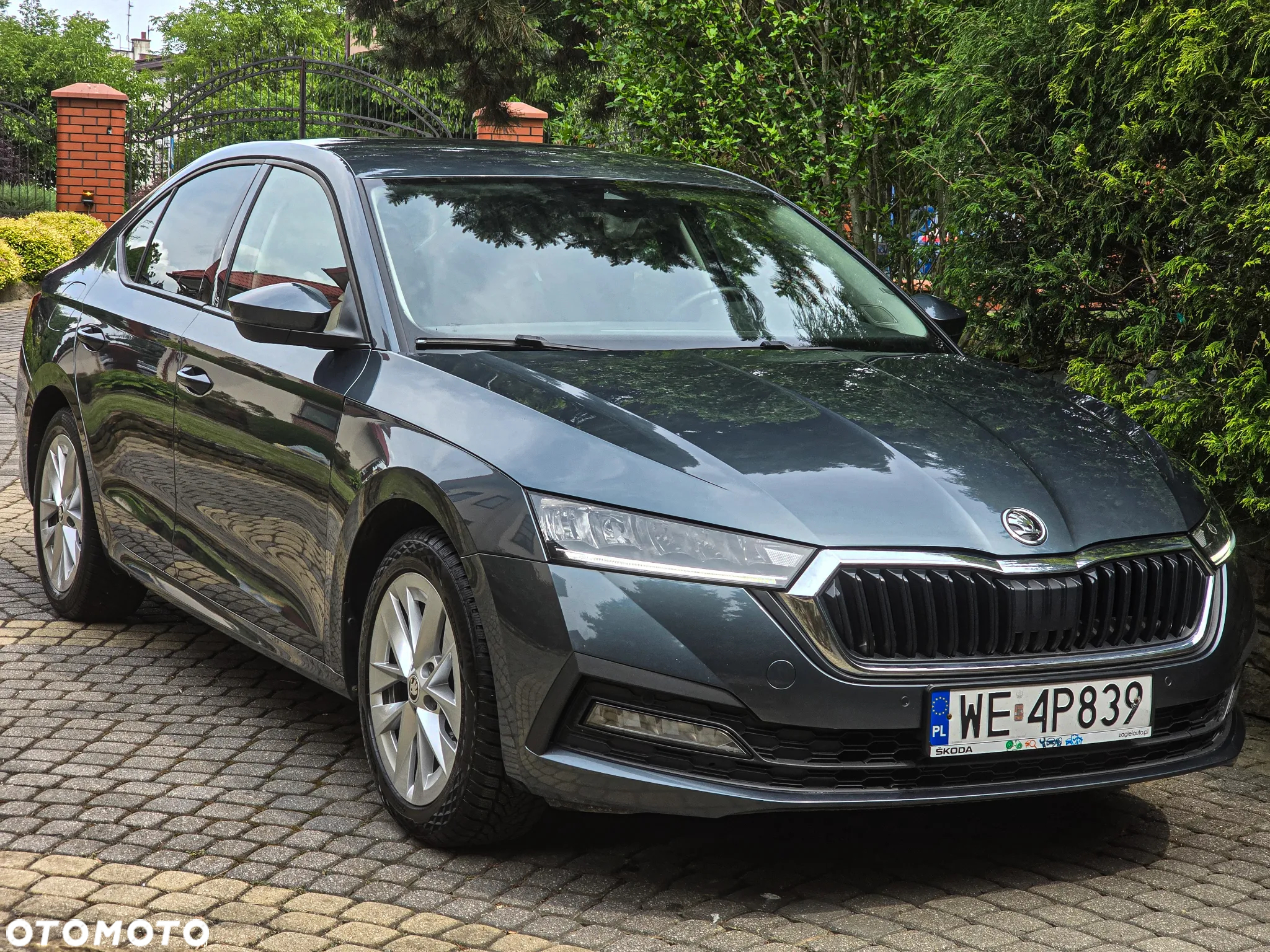 Skoda Octavia 1.5 TSI GPF ACT Ambition DSG - 8