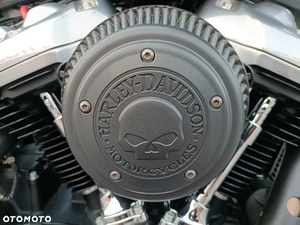 Harley-Davidson Softail Standard - 20