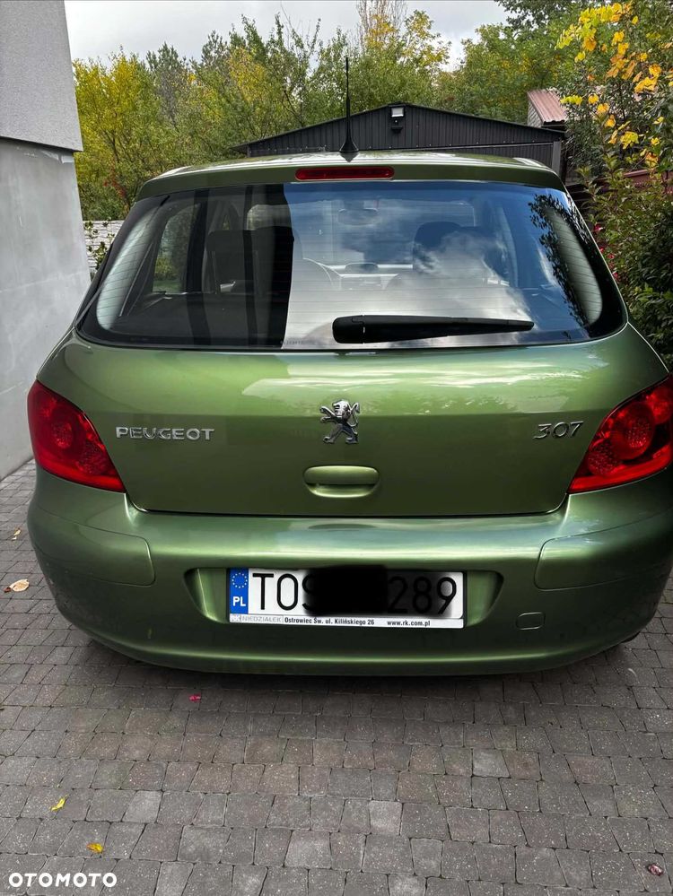 Peugeot 307 - 4