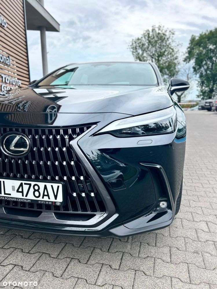 Lexus NX - 13