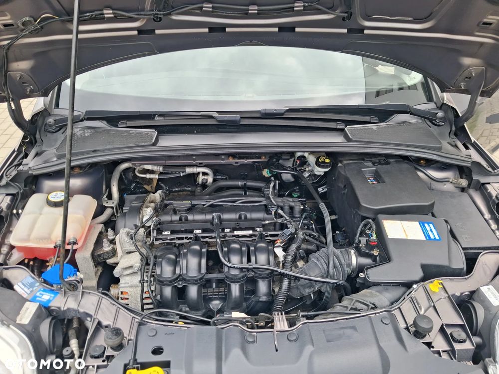 Ford Focus 1.6 TI-VCT Titanium - 16