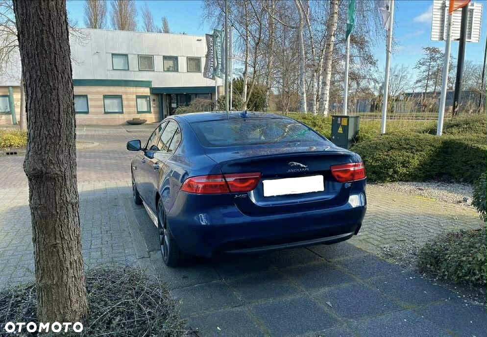 Jaguar XE E-Performance R-Sport - 7