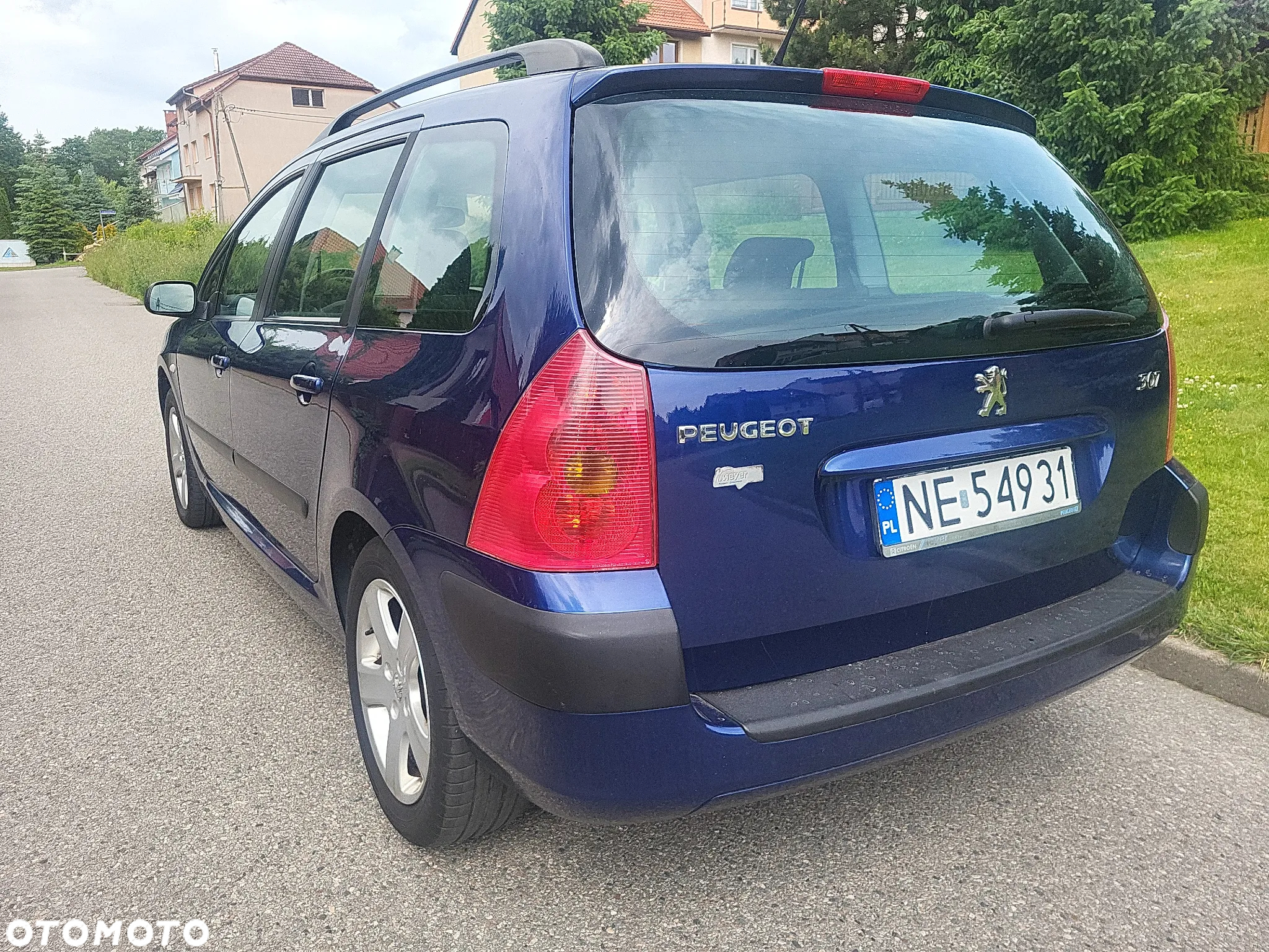 Peugeot 307 2.0 Mistral - 7