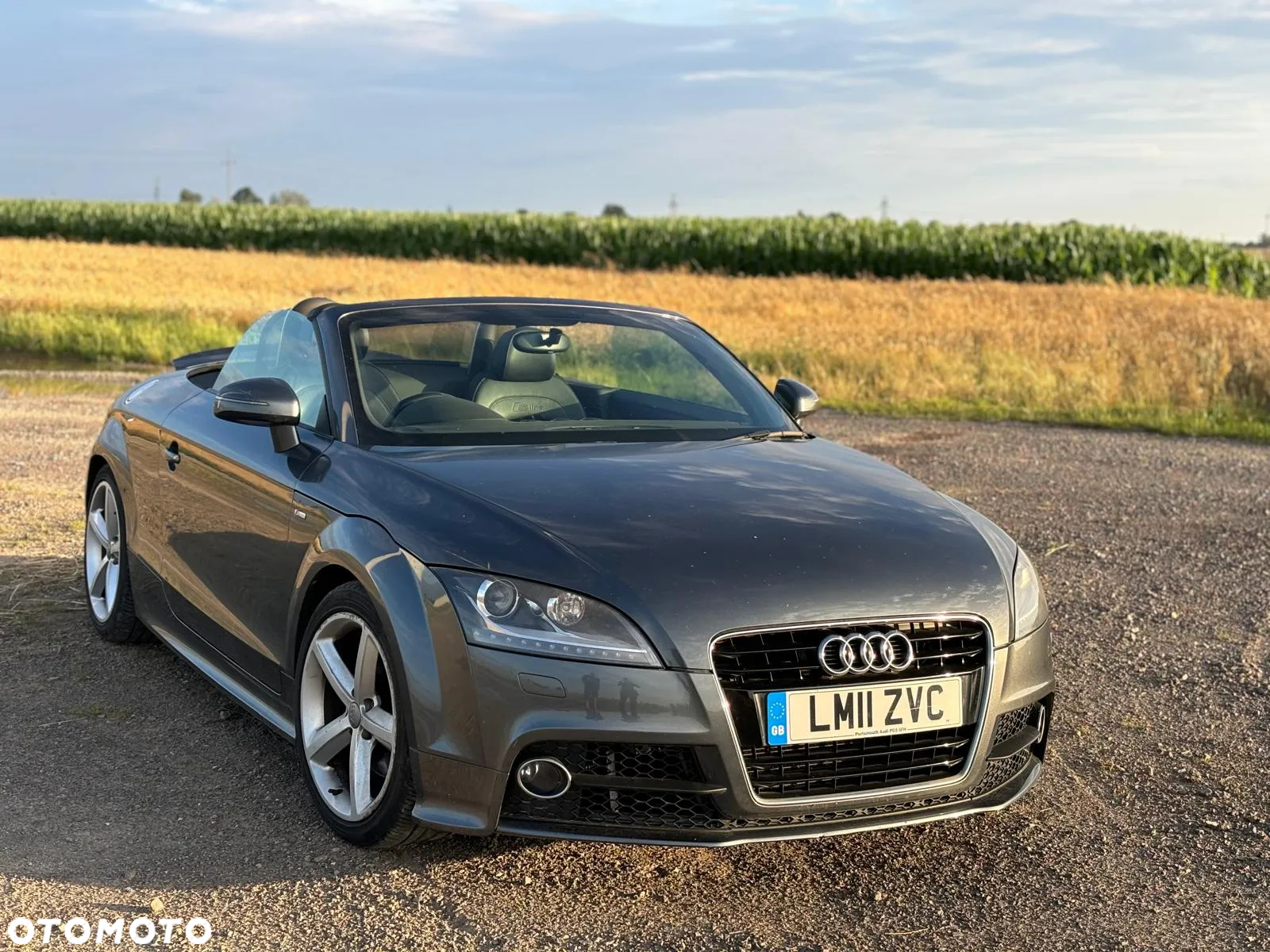 Audi TT Coupé Roadster 1.8 TFSI - 2