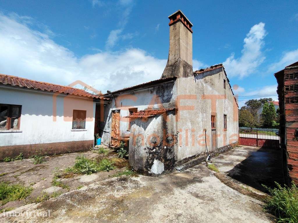 CASINHA DE CAMPO T4, COM ANEXOS, TERRENO DE CULTIVO E ALGUMAS OLIVE... - Grande imagem: 2/32