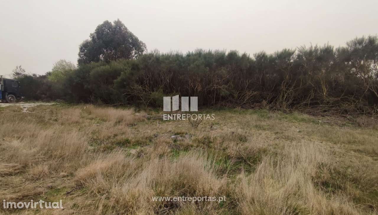 Venda Terreno com área de 10074 m2, Gove, Baião - Grande imagem: 2/29