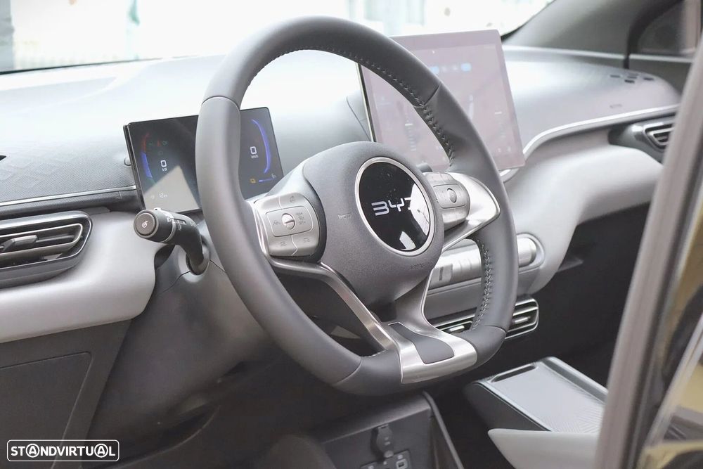 BYD Dolphin Surf 30 kWh Active - 19