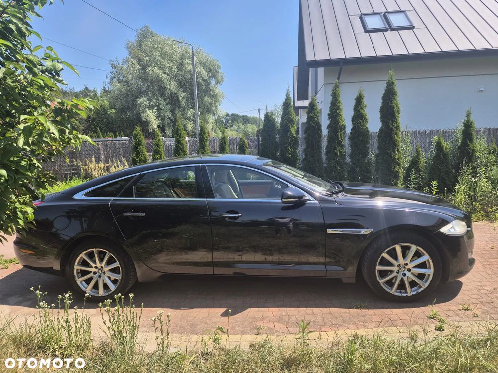 Jaguar XJ 3.0 D V6 LWB Premium Luxury - 6