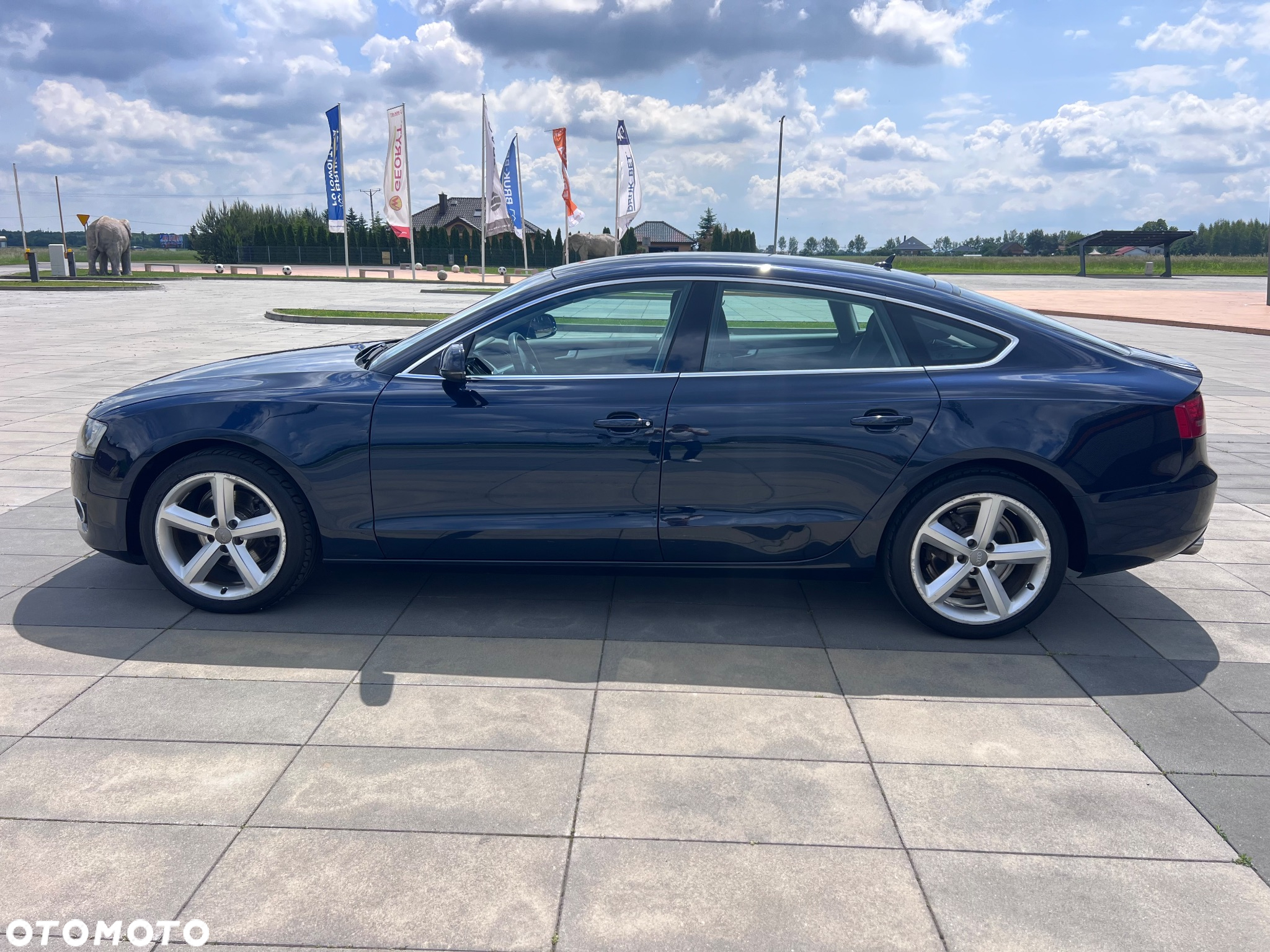 Audi A5 2.0 TDI Sportback DPF quattro - 13