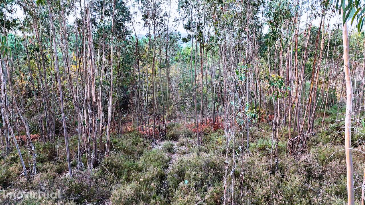 Terreno  para venda - Grande imagem: 3/5