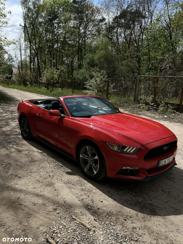 Ford Mustang 3.7 V6 - 10