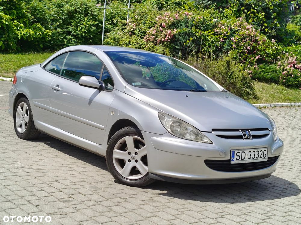 Peugeot 307 CC 110 Filou - 14