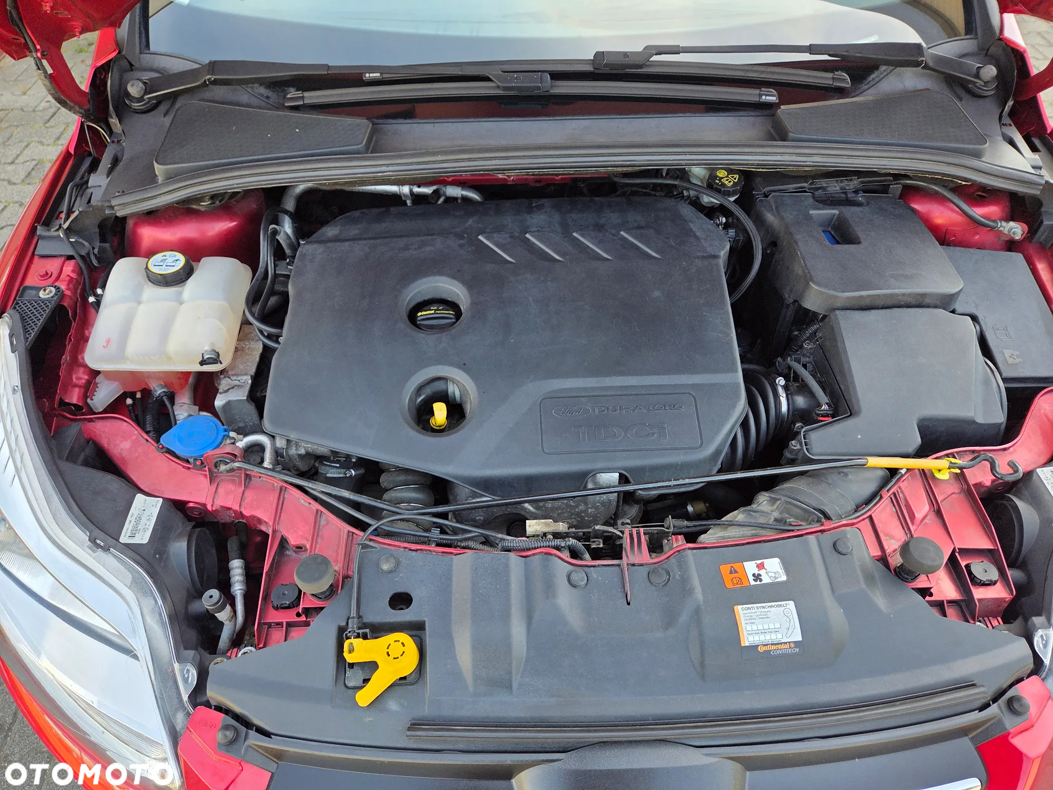 Ford Focus - 18
