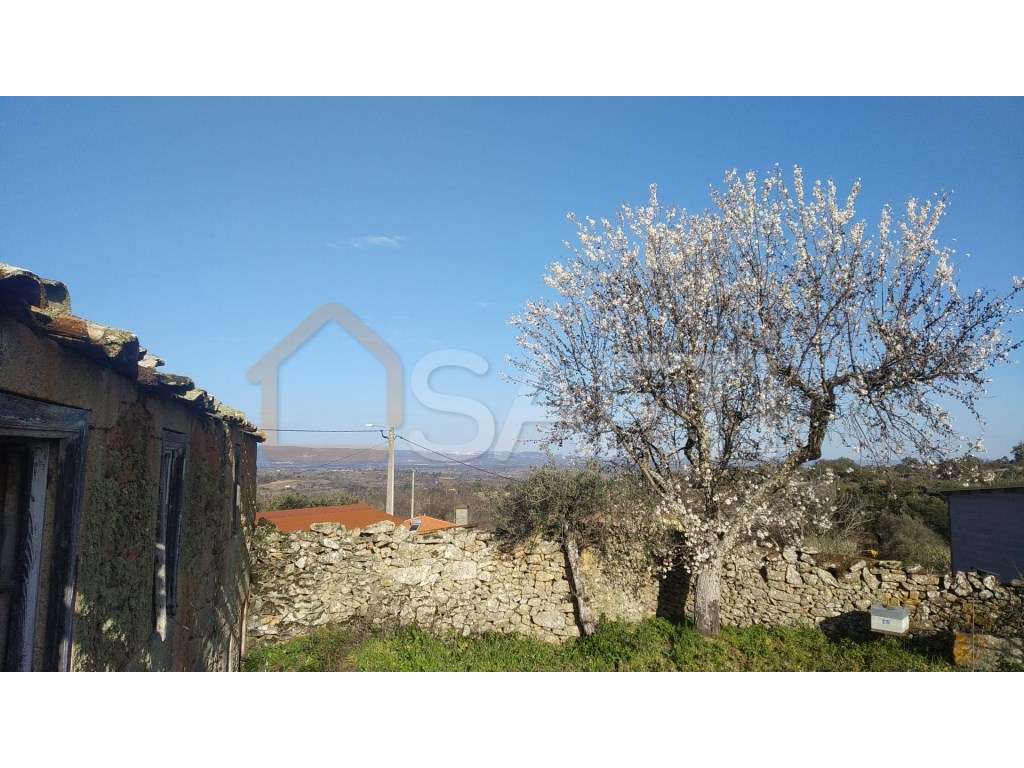 Quinta em Azêvo - Pinhel - Guarda - Grande imagem: 2/60
