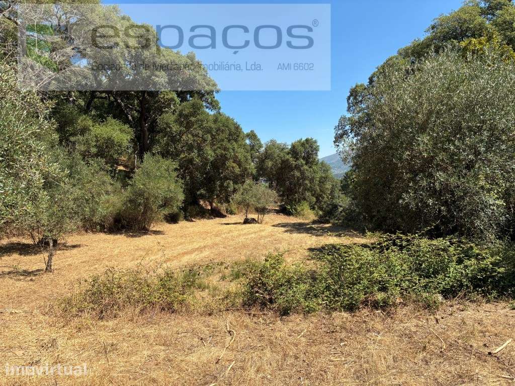 Terreno Plano com Poço - Grande imagem: 2/9
