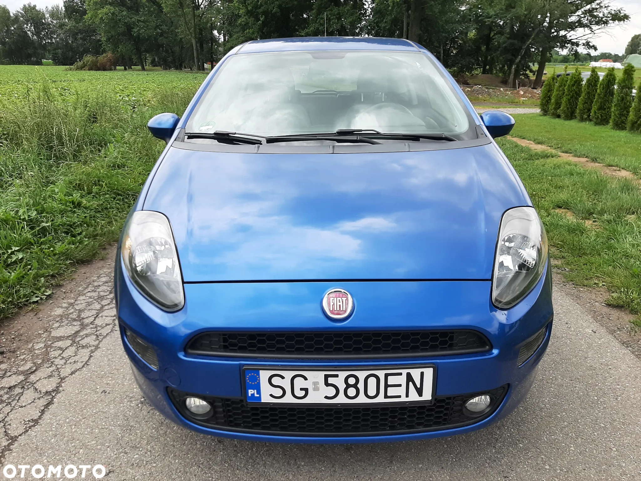 Fiat Punto Evo 1.4 8V Dynamic - 24